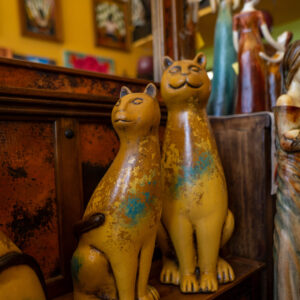 Sun-Kissed Feline Duo